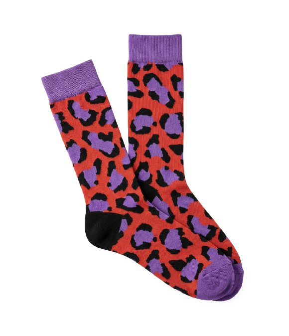 Calcetines estampados de Lolina – colección Otoño/Invierno 2026 | Tiendas Via Vai
